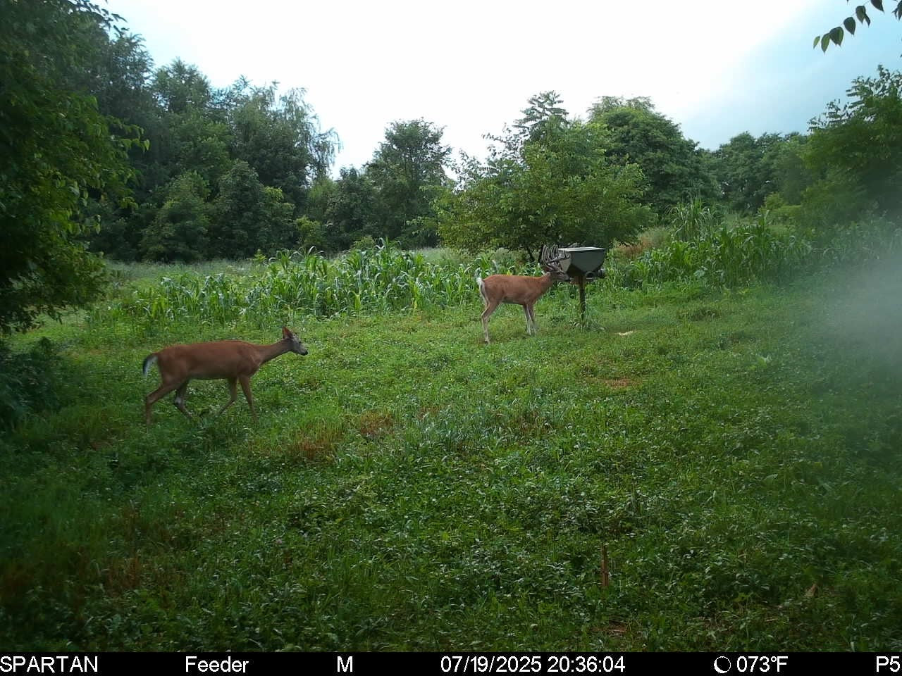 PowerMax Ultimate Deer Feed - Contact for orders; Delivery available