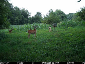 PowerMax Ultimate Deer Feed - Contact for orders; Delivery available
