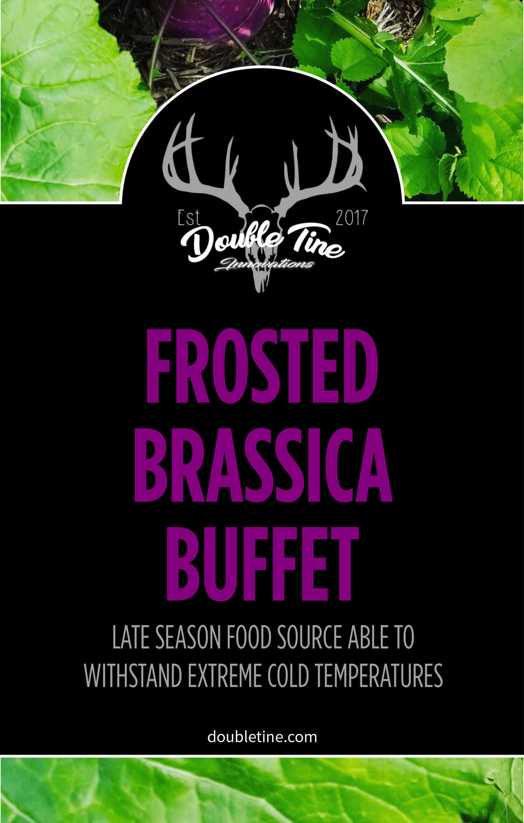 Frosted Brassica Buffet - Double Tine Innovations