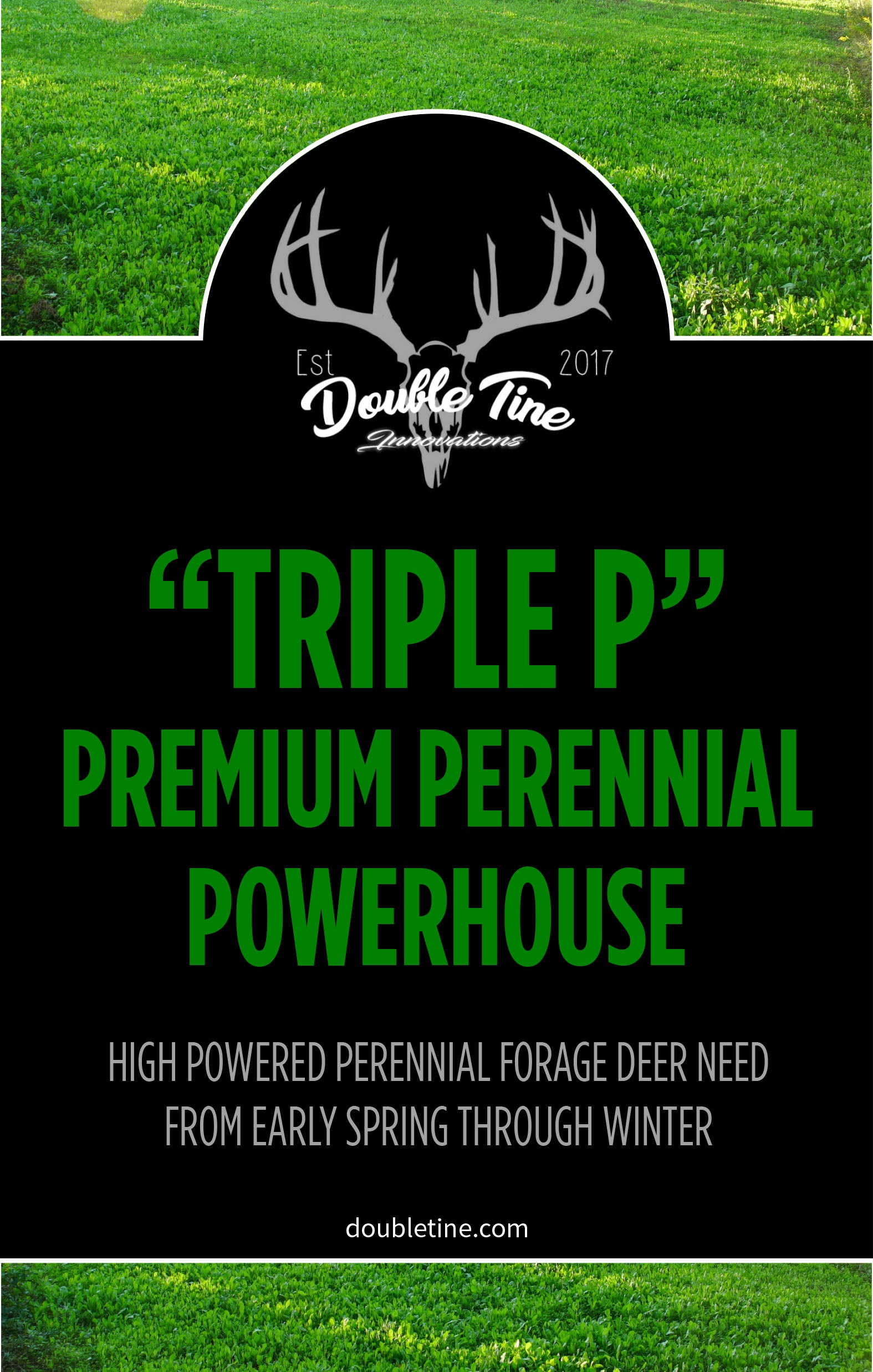 Triple P - Premium Perennial Powerhouse - Double Tine Innovations